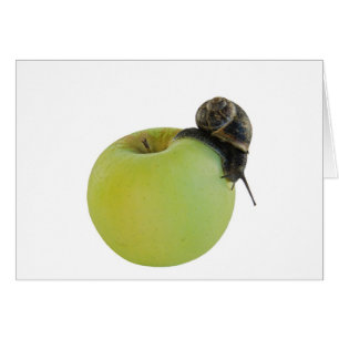 Snigel och äpple hälsningskort
