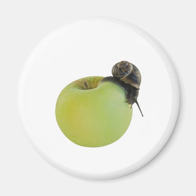 Snigel och äpple magnet (Framsidan)