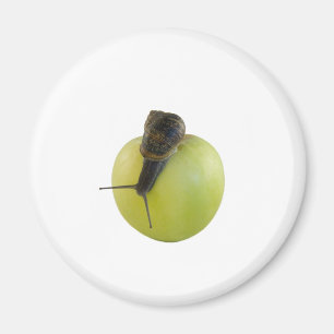 Snigel och äpple magnet