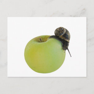 Snigel och äpple vykort
