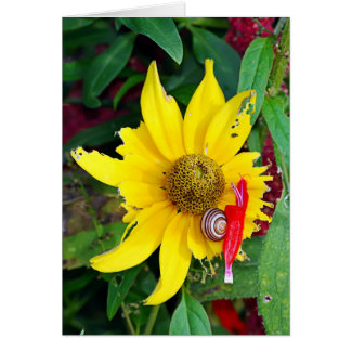 Snigel och Blommar Hälsningskort