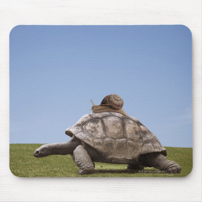 Snigel över en sköldpadda musmatta (Framsidan)