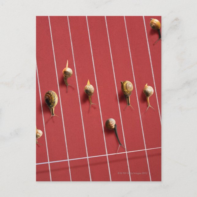 Snigel på lastbil vykort (Framsida)