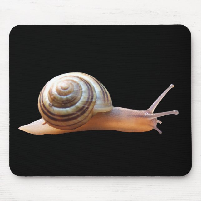 Snigel på svart ~-mousepad musmatta (Framsidan)