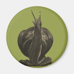 Snigel Pastels Teckning Round Magnet