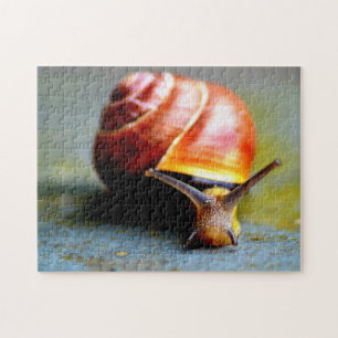 Snigel Pussel