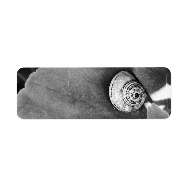 Snigel Returadress Etikett (Framsidan)