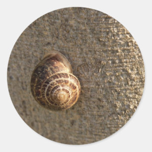 Snigel Runt Klistermärke