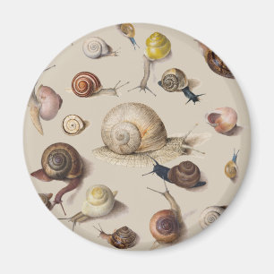 Snigel Slug Garden Pet Gastropod Botanical Sniglar Magnet