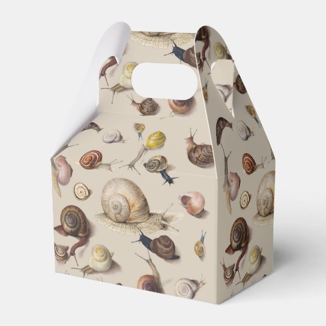 Snigel Slug Garden Pet Gastropod Botanical Sniglar Presentaskar (Framsidan Sidan)