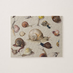 Snigel Slug Garden Pet Gastropod Botanical Sniglar Pussel