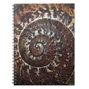 Snigel Snäcka Anteckningsbok Med Spiral