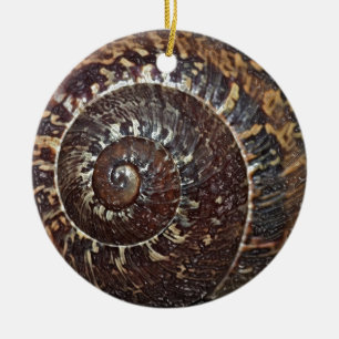 Snigel Snäcka Ornament