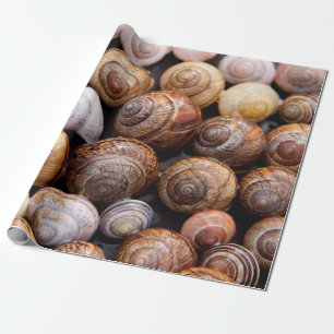 Snigel snäckor presentpapper