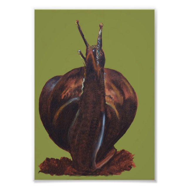 Snigel Teckning Kodak Professionell Photo Papper Fototryck (Framsidan)