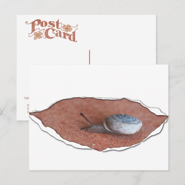 Snigel under Torn Material Vykort (Fram/baksida)