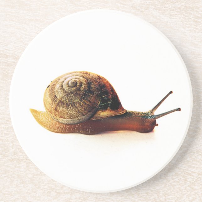 snigel underlägg sandsten (Framsidan)
