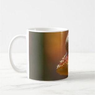 Snigel vid den söta naturområdet. kaffemugg