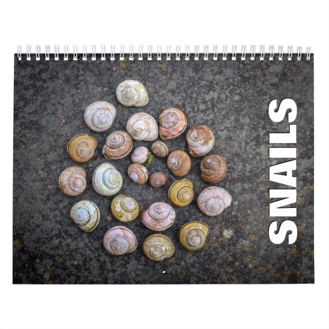 Snigel Wall Calendar Kalender (Omslag)