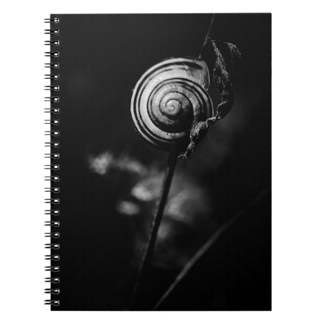 snigelhale anteckningsbok med spiral (Framsidan)