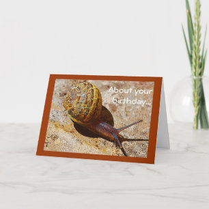 Snigeln postar försenad födelsedag kort