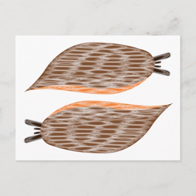 Snigels vykort (Framsida)