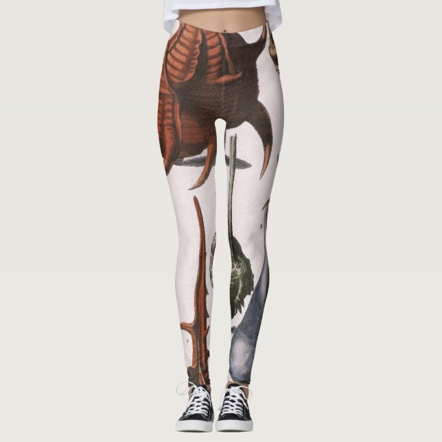 Snigelskal, Antika snigelskal, Havets marina liv Leggings (Framsida)