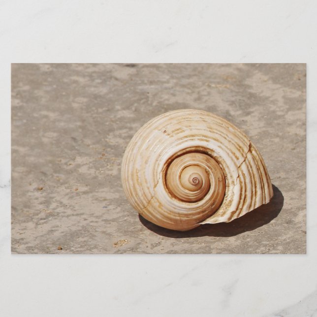 Snigelskal Brevpapper (Framsida)