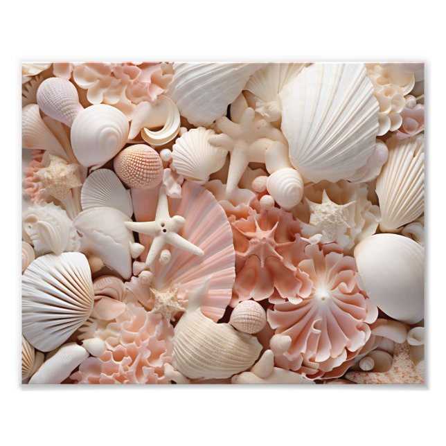 Snigelskal Fototryck (Framsidan)