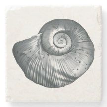 Snigelskal