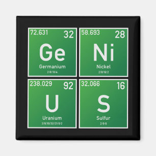 Snille PSEv Magnet