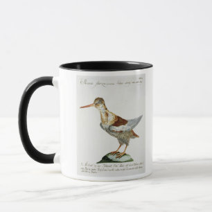 Snipe c.1767-76 (räcka färgad gravyr), mugg