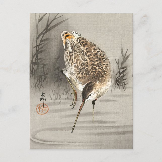 Snipe i Vatten, Ohara Koson Japansk konst, Bird Vykort (Framsida)