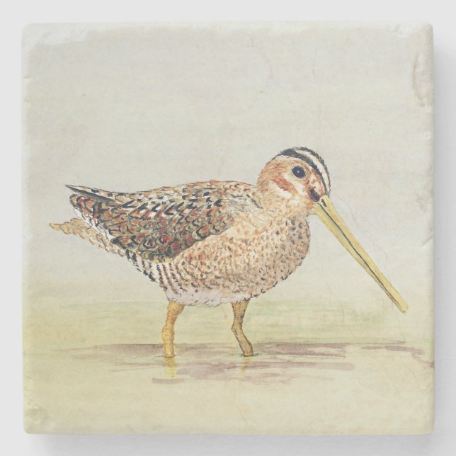 Snipe vanligt kustfartyget underlägg sten (Framsidan)