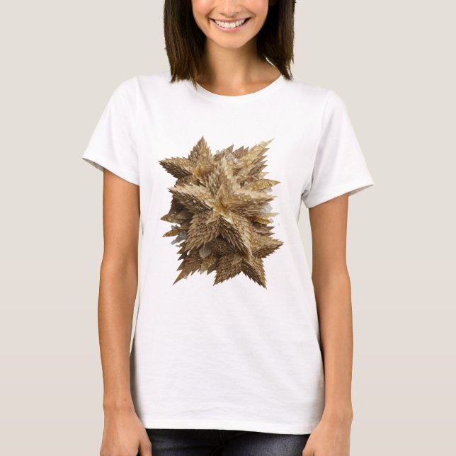 Snittig silver GULDSTJÄRNA design T Shirt (Framsida)