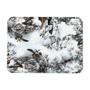 Snö Abstrakt Magnet
