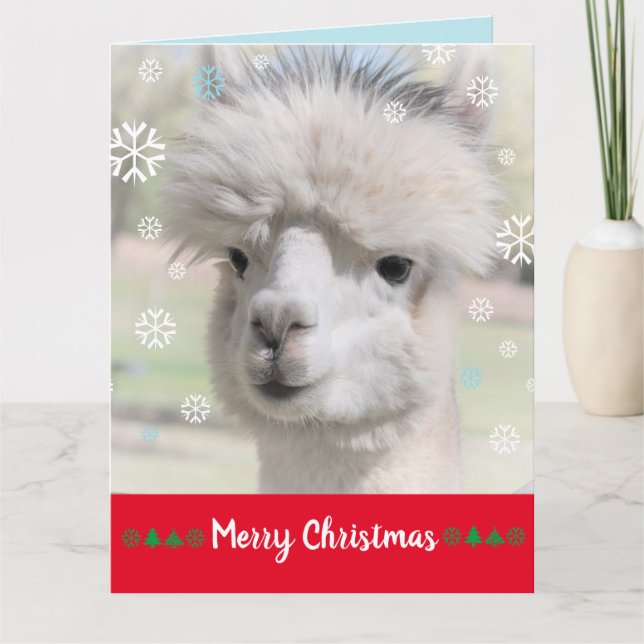 Snö Alpaca God jul-kort Kort (Framsida)