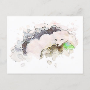 *~* Snö Arktisk vit Polar Fox Ap18 Wildlife Vykort