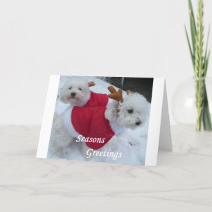 Snö Babys Helgkort