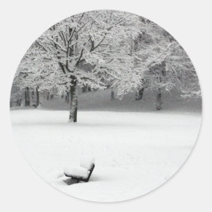 Snö-bänk och träd runt klistermärke