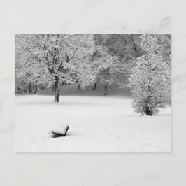 Snö-bänk och träd vykort