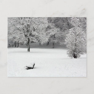 Snö-bänk och träd vykort