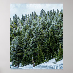 Snö Bank Woodlands / Gräs Träd Forest Poster