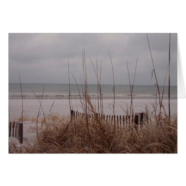 Snö Beach Hälsningskort (Framsidan Horizontal)