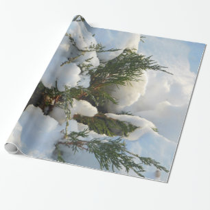 Snö begravd evergreen presentpapper