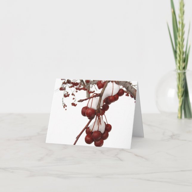 Snö Berry Card Helgkort (Framsida)