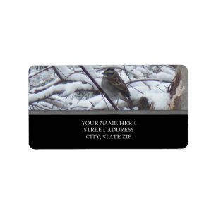 Snö Bird Adressetiketter