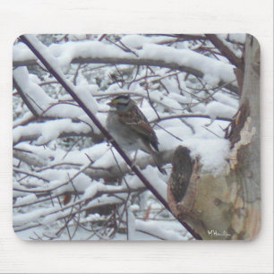 Snö Bird Musmatta