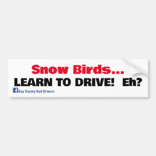 Snö Birds - Lär dig köra Bildekal