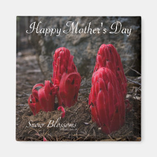 Snö Blommar Lycklig Mors dag Magnet
